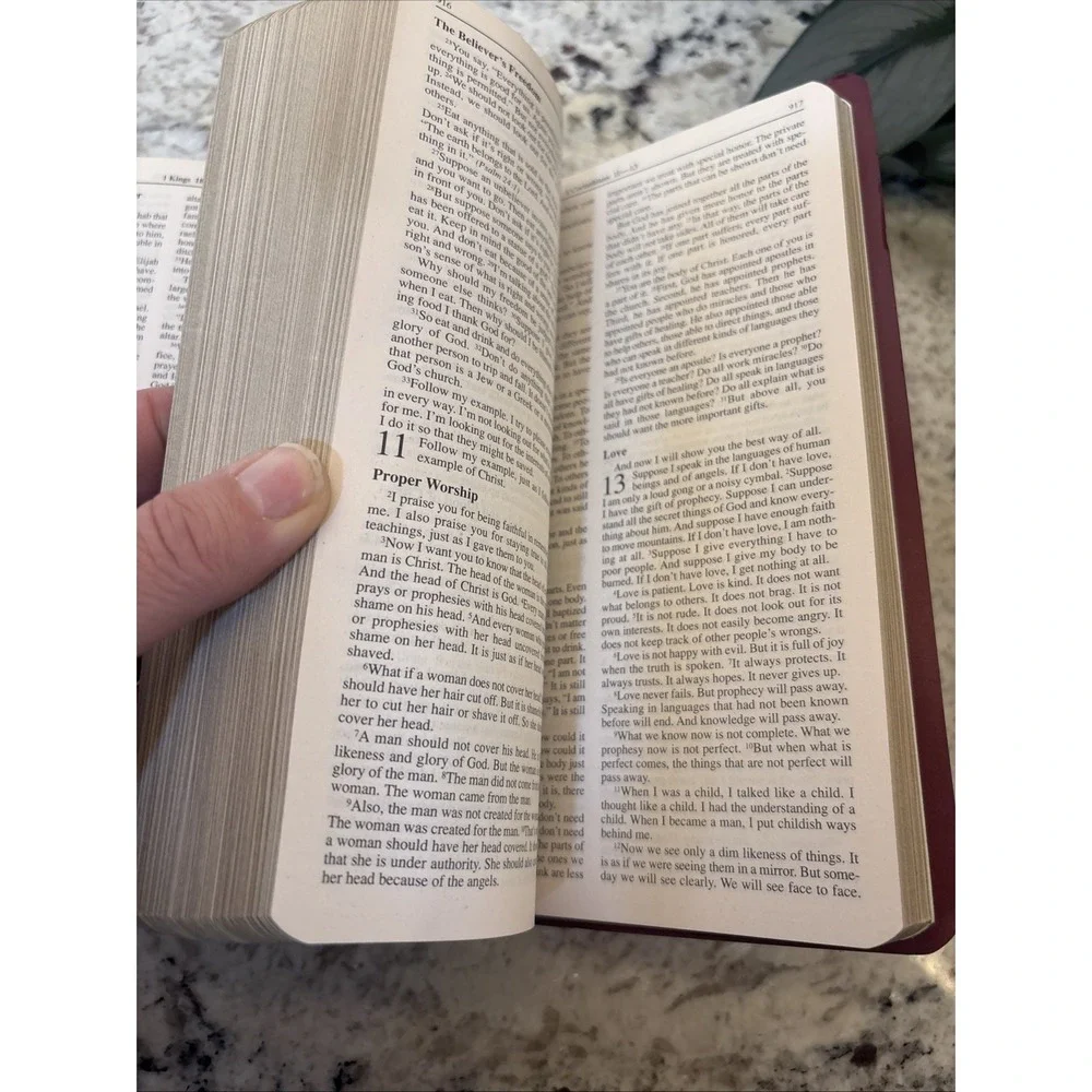 Zondervan Red Holy Bible With Helps New International Version ZonderKidz